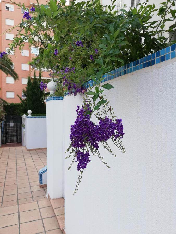 Casablanca Mediterranean Бенидорм Екстериор снимка
